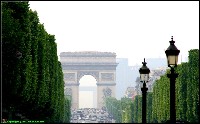 PARI PARIS 01 - NR.0195